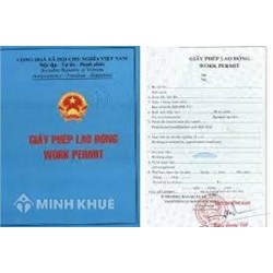 Người nước ngoài làm việc tại công ty con tại Việt Nam có phải nộp cấp giấy phép lao động ?