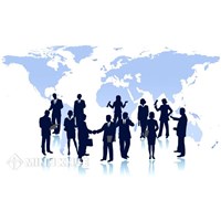 Consulting services for the establishment of professional associations