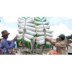 Điều kiện kinh doanh xuất khẩu gạo theo quy định mới nhất