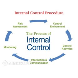 Internal control consultancy for enterprises