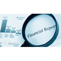 The service provides financial information of the business