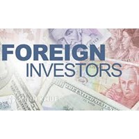 Investment consultancy services for foreign investors in Vietnam