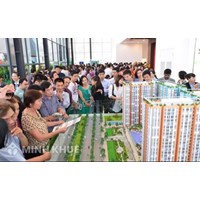 Consultancy to build and complete the regulation of real estate exchange