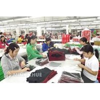 Người lao động gây thiệt hại tài sản của công ty phải chịu trách nhiệm gì?