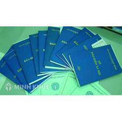 Mức xử phạt đối với hành vi không tham gia BHYT, BHXH và BHTN cho người lao động?