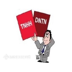 Lựa chọn Doanh nghiệp tư nhân hay Công ty TNHH một thành viên?