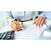 Accounting consultancy service for businesses