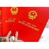 Notary service for the transfer of certificate of land use right