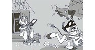 Phân tích cấu thành, hình phạt tội Công nhiên chiếm đoạt tài sản?
