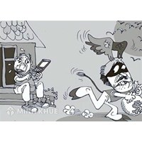 Phân tích cấu thành, hình phạt tội Công nhiên chiếm đoạt tài sản?