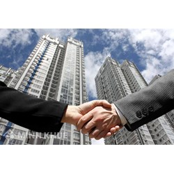 Tư vấn điều kiện hoạt động của tổ chức tư vấn quản lý dự án