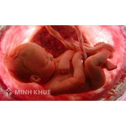 Chế độ thai sản áp dụng khi thai chết lưu theo quy định mới nhất
