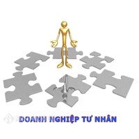 Doanh nghiệp tư nhân có được góp vốn, mua cổ phần, phần vốn góp vào công ty khác hay không ? 
