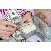 Hướng dẫn điền đơn đăng ký khoản vay nước ngoài không được chính phủ bảo lãnh