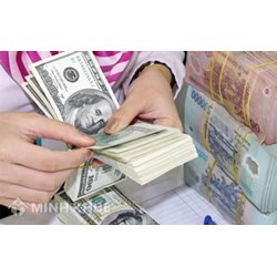 Hướng dẫn điền đơn đăng ký khoản vay nước ngoài không được chính phủ bảo lãnh
