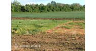 Doanh nghiệp nước ngoài có được sở hữu đất tại Việt Nam không?