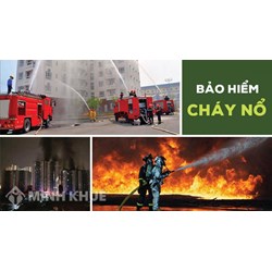 Nguyên tắc tham gia bảo hiểm cháy, nổ bắt buộc theo  quy định mới nhất