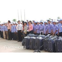 Người lao động Việt Nam có thể đi làm việc ở nước ngoài theo thời vụ hay không ?