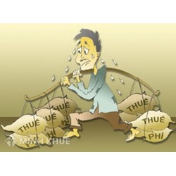 Chuyển quyền sử dụng đất thuế, phí và lệ phí phải nộp