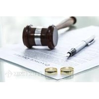 Lawyer counseling services on divorce, division of common property and disputes custody