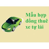 Mẫu hợp đồng cho thuê xe ô tô tự lái cho công ty và cá nhân