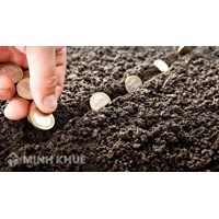 Mẫu thông báo nộp tiền thuê đất, quyết định miễn, giảm tiền thuê đất, thuê mặt nước mới cập nhật