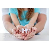Adoption counseling service (domestic or foreign)