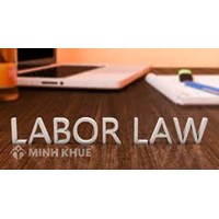 Legal consultancy in the field of labor law