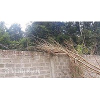 Mâu thuẩn với hộ liền kề đập phá tường rào có thể phải bồi thường thiệt hại và bị truy cứu trách nhiệm hình sự