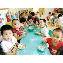 Quy định của pháp luật về việc hỗ trợ ăn trưa cho trẻ nhỏ mới nhất