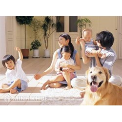 Chậm nâng lương đối với viên chức nhà nước như thế nào khi bị kỷ luật khiển trách