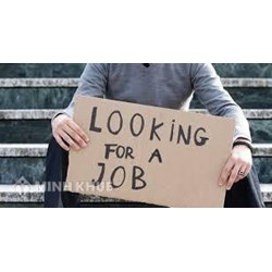 Công ty phải thử việc trước hay học việc trước? Quy định về học việc  