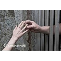  Người đang chấp hành hình phạt tù có được kết hôn không?