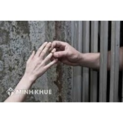  Người đang chấp hành hình phạt tù có được kết hôn không?