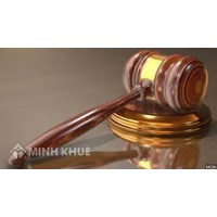 Lawyer consulting services, litigation in court