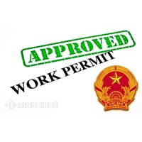 Consultation on issuance of work permits for foreigners in Vietnam
