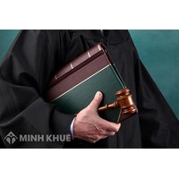 Lawyer participating in court litigation service