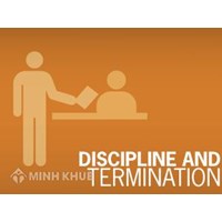 Consultancy service and settlement of labor disputes in enterprises.