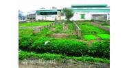Thủ tục tách thửa, hợp thửa đất đai theo quy định mới
