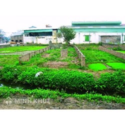 Thủ tục tách thửa, hợp thửa đất đai theo quy định mới