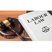 Legal consulting services in the field of labor