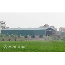 Xây dựng trên đất nông nghiệp có bị xử phạt vi phạm hành chính không?