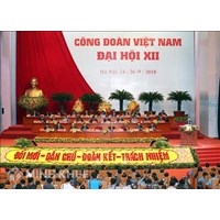 Thủ tục chuyển sinh hoạt Công đoàn và mẫu đơn chuyển sinh hoạt Công đoàn?
