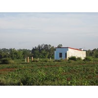 Đất sử dụng ổn định lâu dài không tranh chấp có được cấp sổ đỏ?