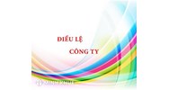 Mẫu Điều lệ Công ty TNHH Một thành viên mới nhất