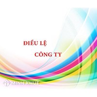 Mẫu Điều lệ Công ty TNHH Một thành viên mới nhất