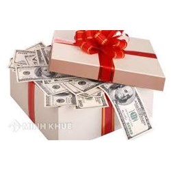 Quà tặng từ nước ngoài về Việt Nam phải nộp những loại thuế nào ?