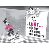 Gia đình chồng nhờ con dâu mang thai hộ có được không?