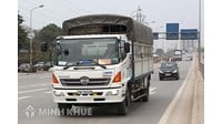 Không gián logo xe tải thì bị xử phạt như thế nào?