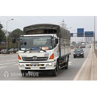Không gián logo xe tải thì bị xử phạt như thế nào?
